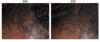 comparison.gif