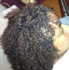Lush curls.jpg