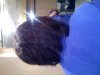 Picture 068.jpg