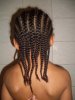kaysbraids (Medium).JPG