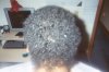 before the barbershop #2.jpg
