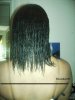 May 25 ,2009 wet hair picture journey to apl.jpg