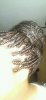 rps20150602_175941.jpg