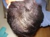 DSC00987.jpg