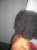 DSCN4218.jpg