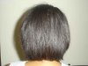 Evolution backshot.jpg