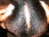 Hair type.JPG