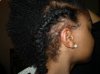 Fall 2009 229.jpg