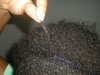 hair 009.jpg