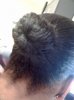 Bun2-Oct2009.jpg
