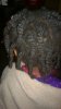 WP_20161230_003.jpg
