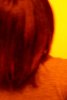 DSCF0729.JPG