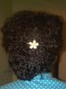Twistout.jpg