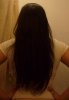 January2009022-vi.jpg