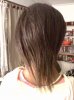 hairjan2010.jpg