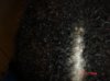 DSC02279.jpg