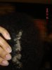 DSC02282.jpg