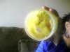 Picture0020.JPG