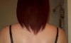 100_2578.jpg