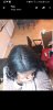 Screenshot_20181213-105524_WhatsApp.jpg