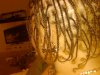plaits 3.jpg