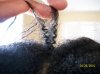 100_0194.jpg
