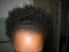 curl pattern 5.jpg
