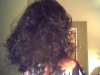 Snapshot_20100108_4.jpg