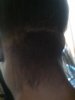 IMG00013-20100722-1855.jpg