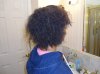 DSC00666.jpg
