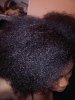 IMG01277-20110325-2310.jpg