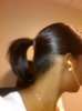 Ponytail1.jpg