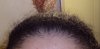breakage 2011.JPG