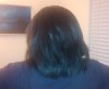 February 2011 Back.jpg
