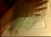 IMG-20111224-00120_2.jpg