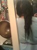 Length Check #2 - 2011.jpg