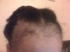 img0175dj.jpg