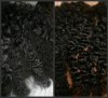 Before and After.jpg