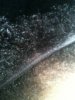 image-739225750.jpg