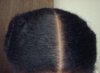 NewGrowth.JPG