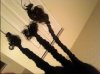 Braids.JPG