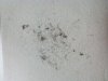 2012-06-05_20-55-20_576.jpg