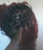 11-11-12--Mini Braids at 4 Weeks.jpg