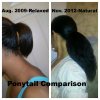 Ponytail Comparison Pics.jpg