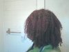 12-11-12--Braids w Loosened Ends-2 weeks in (2).jpg
