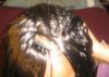 top of head - pony taken down.jpg