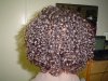 DSC00623-vi.jpg