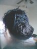 IMG_20130203_105545.jpg