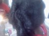 downsized_0217131241a.jpg