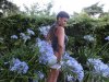 image-680937239.jpg